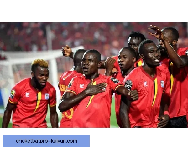 非洲杯争议判罚频发引发各方关注